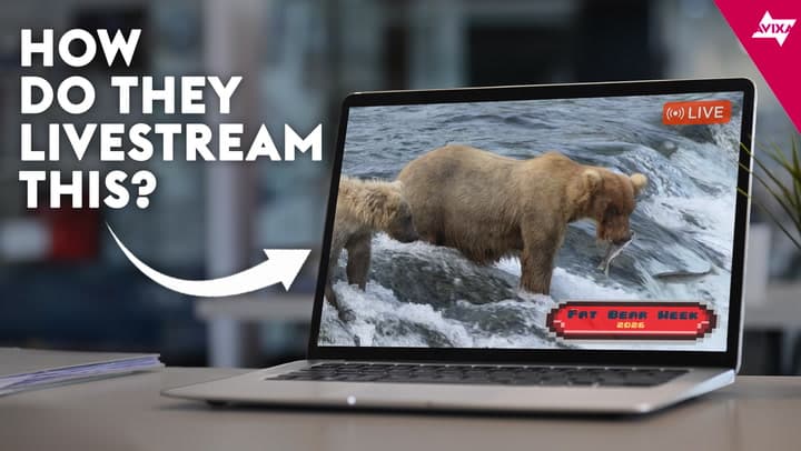 Bear Necessities: The AV Tech Behind Fat Bear Week